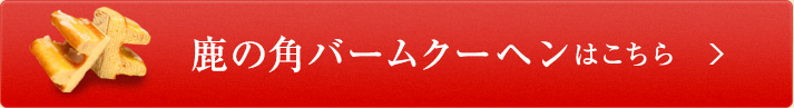 ご購入はこちら