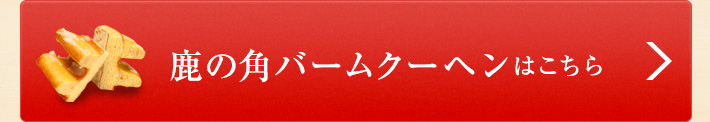 ご購入はこちら